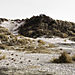 Fanoise_lambert_04